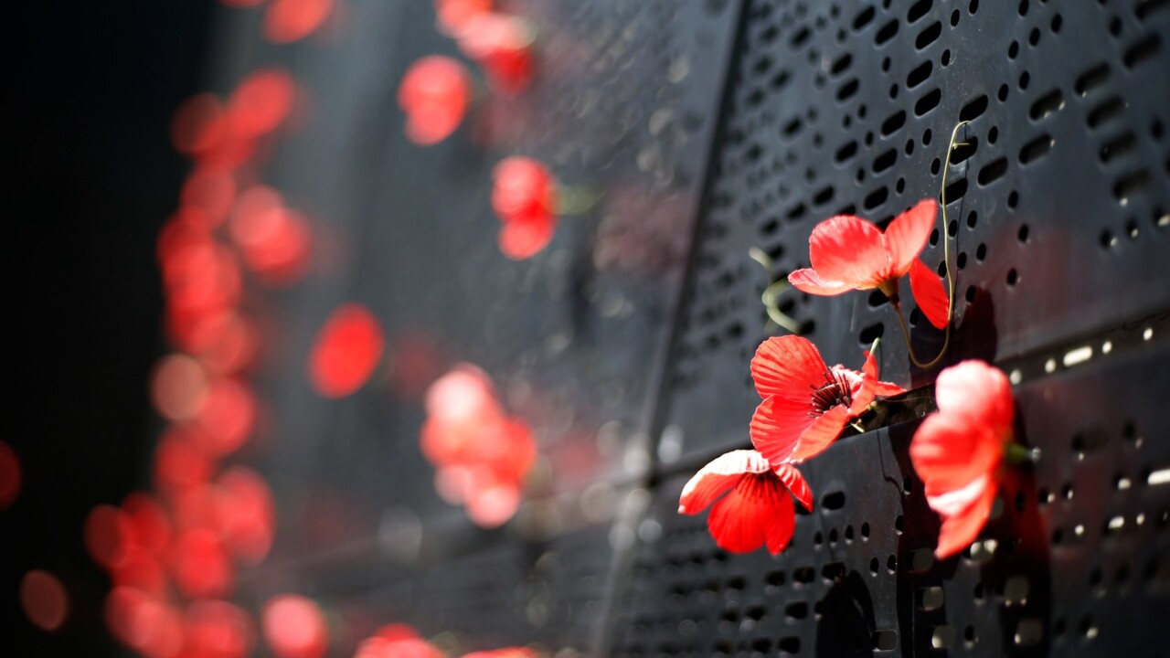 'Our people do us proud every day': Veteran reflects on Remembrance Day