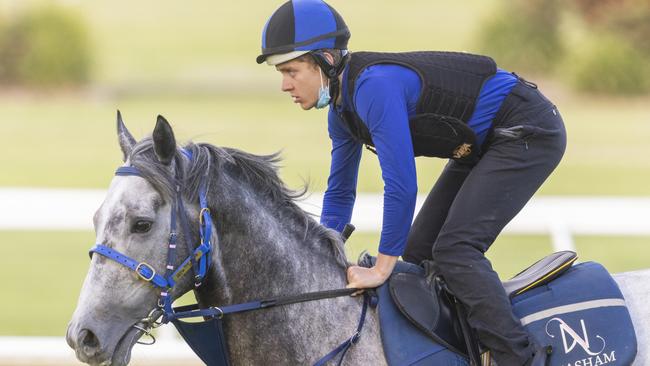 Brodie Loy rides international horse Top Rank during a trackwork session at Canterbury Racecourse on October 19, 2021 in Sydney. Picture: Mark Evans/Getty Images