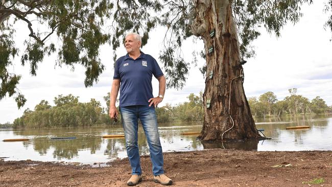 Joe Caudo, owner of Caudo Vineyard, has had to close his business because of flooded access roads. Picture: Keryn Stevens