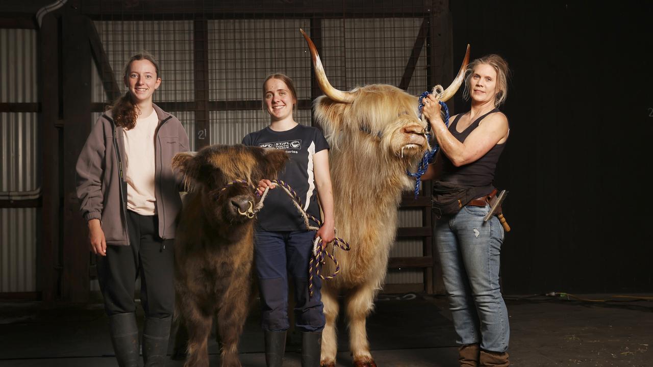 Melody Moroni 18 with Hespera McSwain 18 and Jameson 7 months old, mother Jeannie with Alison Scott from Craggy Island Highlands at Penna. Royal Hobart Show preview. Picture: Nikki Davis-Jones