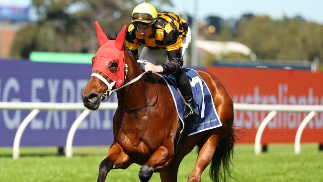 Joliestar will get the chance to enhance her The Everest credentials this Saturday. Picture: Getty Images/Jeremy Ng