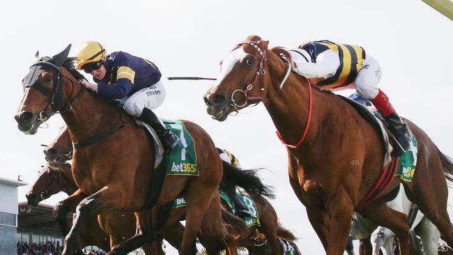 Vengeur Masque (left) edged out Gallic Chieftain in a thrilling finish in the Geelong Cup.