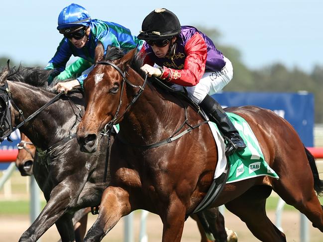 KEMBLA GRANGE, AUSTRALIA - NOVEMBER 23: Jason Collett riding  Gilded Water wins Race 5 PFD Food Services during "The Gong Day" at Kembla Grange Racecourse on November 23, 2024 in Kembla Grange, Australia. (Photo by Jeremy Ng/Getty Images)