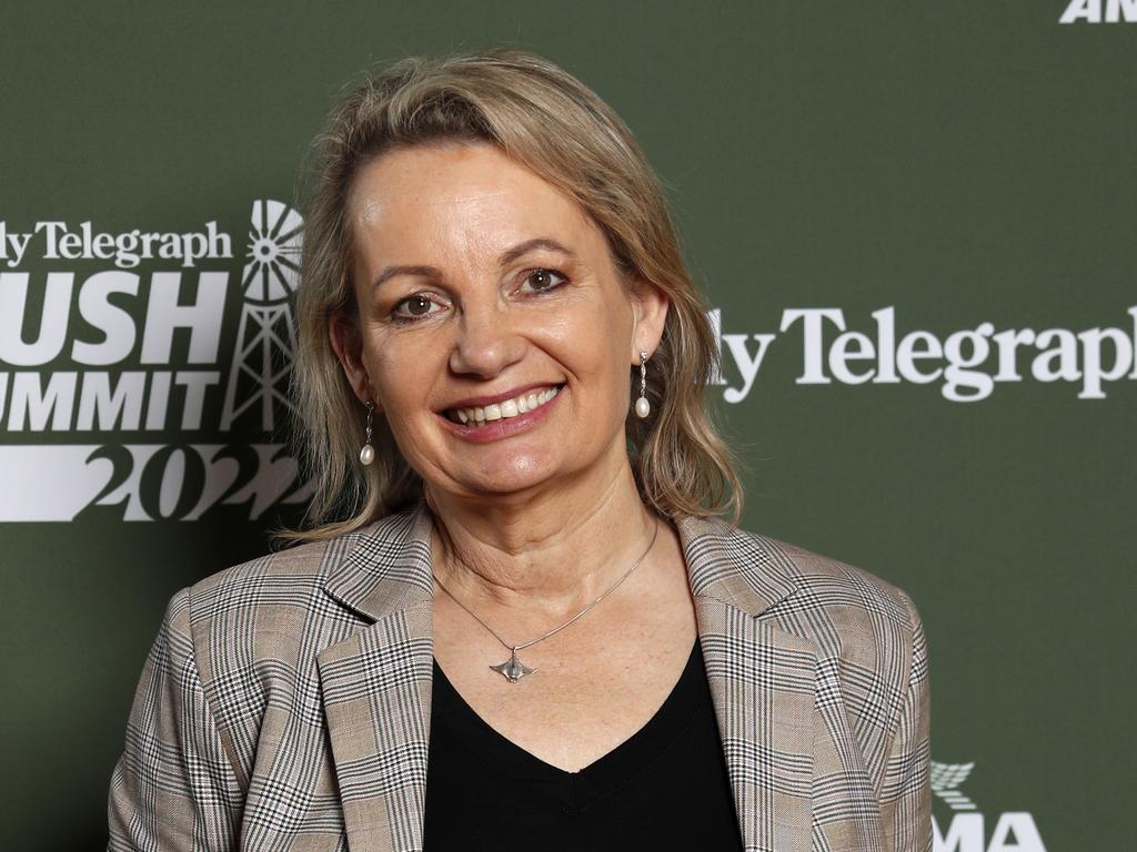 MP Susan Ley at The Daily Telegraph Bush Summit 2022 held at the Griffith Regional Theatre. Picture: Jonathan Ng