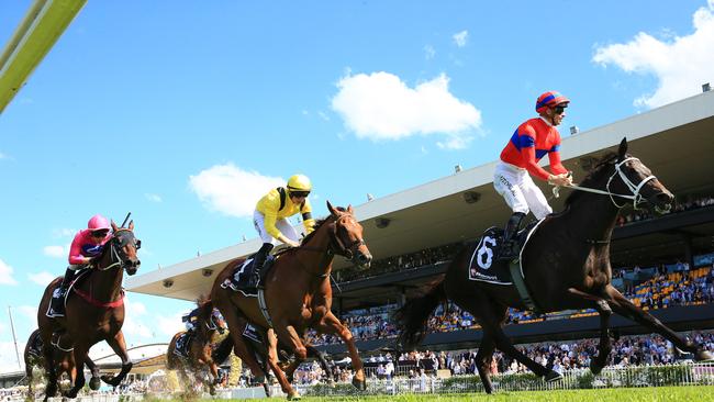 Damian Lane has picked up the mount on Verry Elleegant in the Cox Plate. Picture: Mark Evans–Getty Images