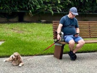 Alan Joyce takes his dog for a walk in Sydney. Picture: 2GB