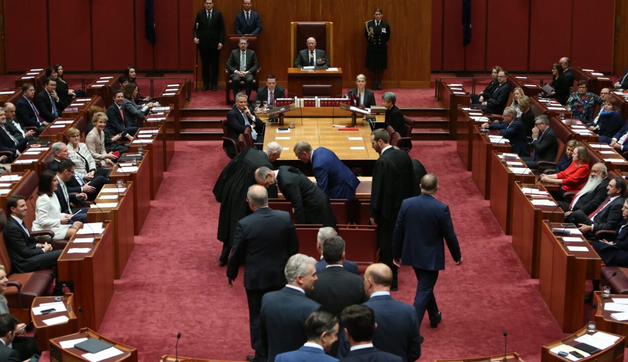 Government's revised stage three tax cut bill passes through the Senate