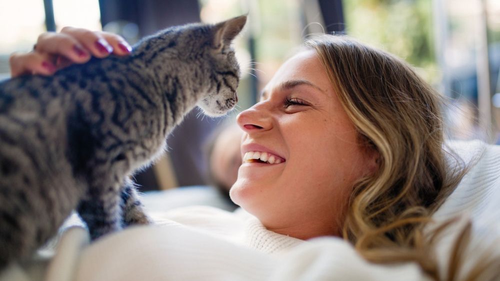 Crazy Cat Lady' Study Proves What We Knew All Along
