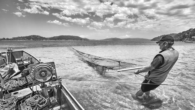 Commercial fisherman and mechanical winches hauling the net into the shallows on a sunny day