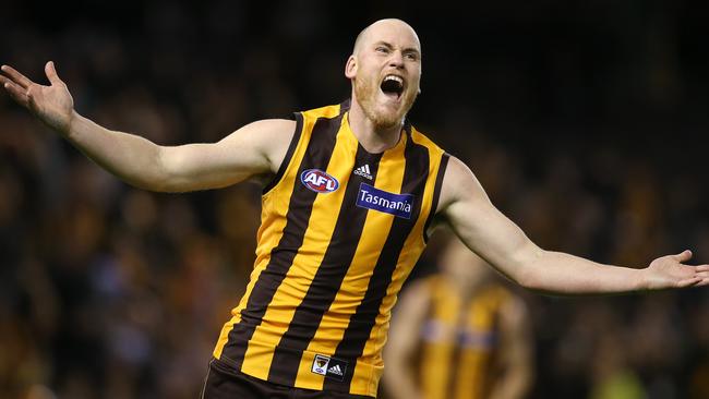 Hawthorns Jarryd Roughead celebrates his 6th goal late in the 4th qtr . Pic: Michael Klein