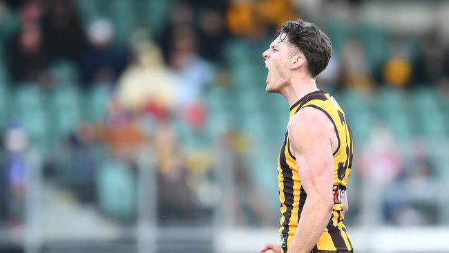 Hawthorn’s Jacob Koschitzke celebrates a goal. Picture: Getty Images