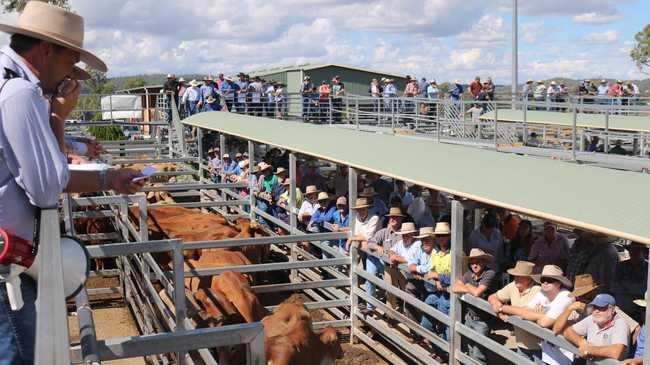 NEW HOME: The 2020 Ekka Prime Beef competition has found a new home at the Silverdale Saleyards. Picture: File