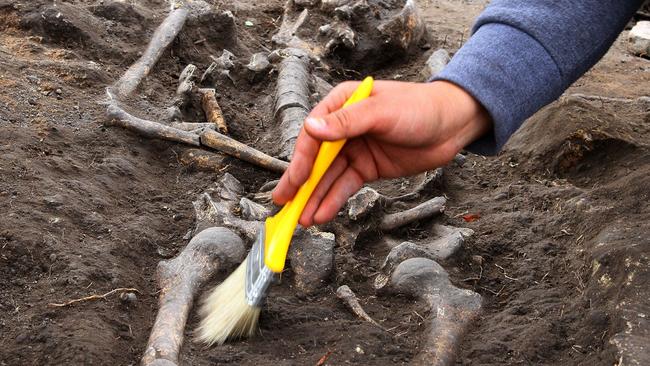 Corpses often had stakes put in them to stop them from terrorising the living.