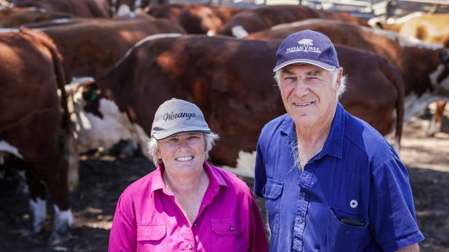 Jeoffrey and Jill Hortle on their cattle property "Woranga" at Casterton. Picture: Nicole Cleary