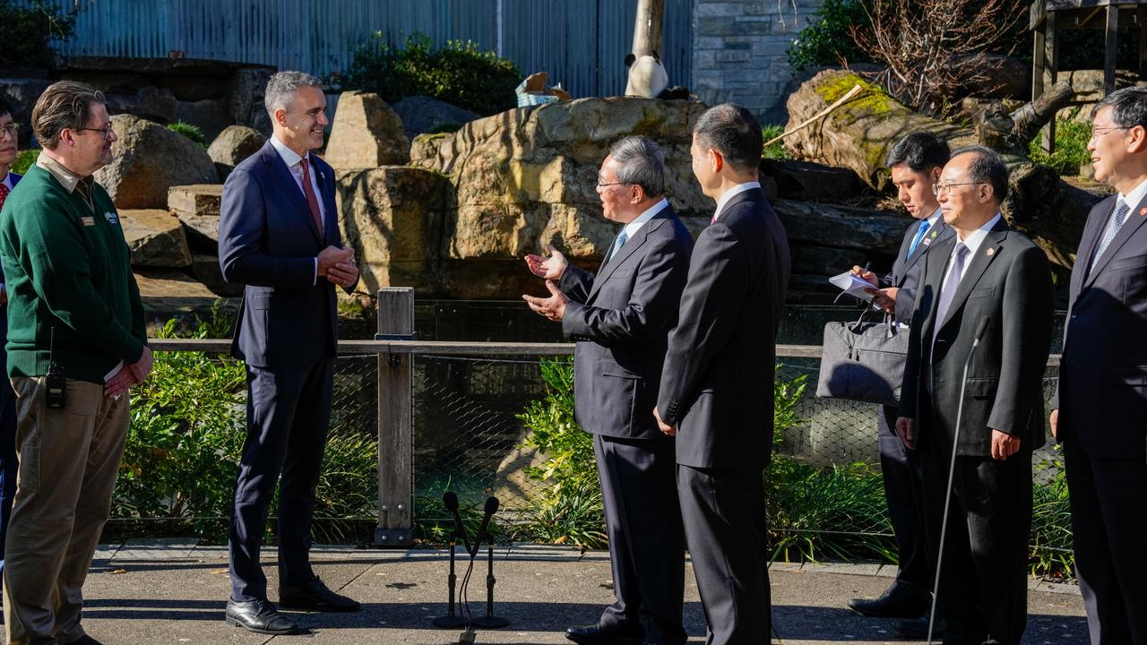 China's Premier Li Qiang, centre, gestures towards Wang Wang the panda alongside South Australian Premier Peter Malinauskas and members of the Chinese delegation at Adelaide Zoo. Picture: Getty Images