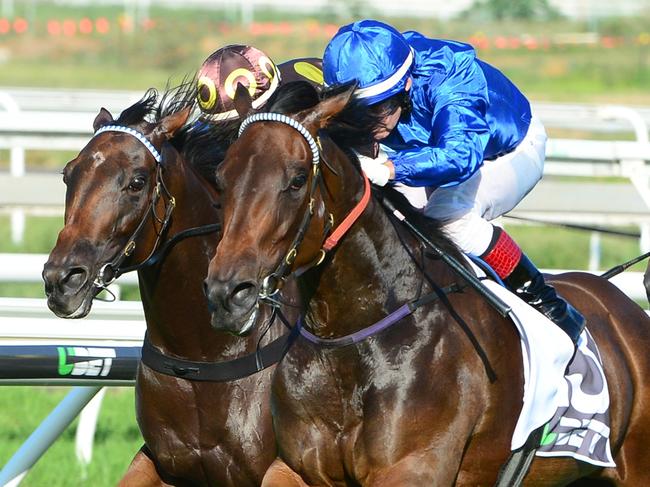 Kinshachi winning at Eagle Farm. Picture: Grant Peters, Trackside Photography