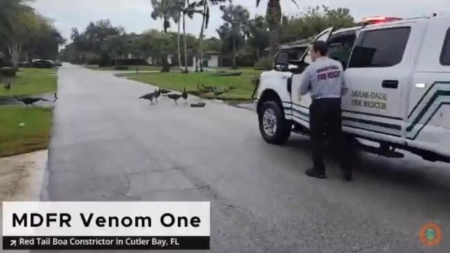 Lefties Losing It: Frustrated man gives Just Stop Oil protesters a 'reality  check