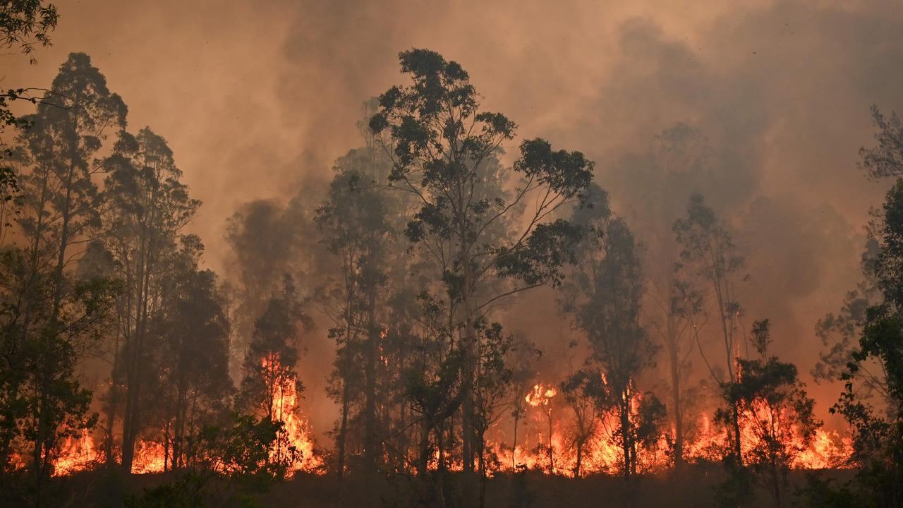 Although his family’s property was saved, the short-term contractor was told on Thursday by the agency he did not have a shift on the Friday and to call them back (fire pictured in Bobin on November 9). Picture: Peter Parks/AFP