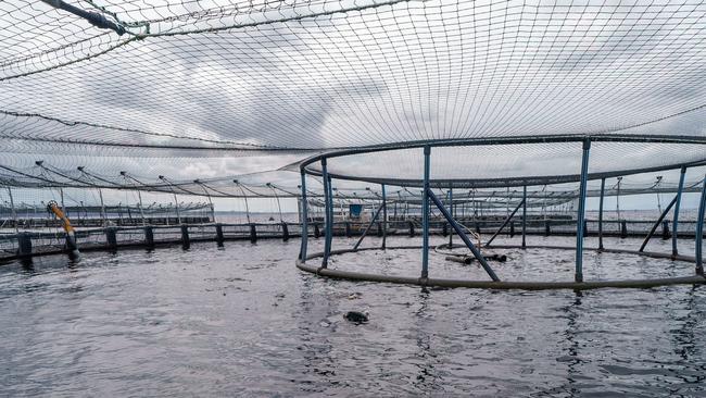 Tassal salmon pens in Strahan, Tasmania. Picture: NewsWire / Supplied