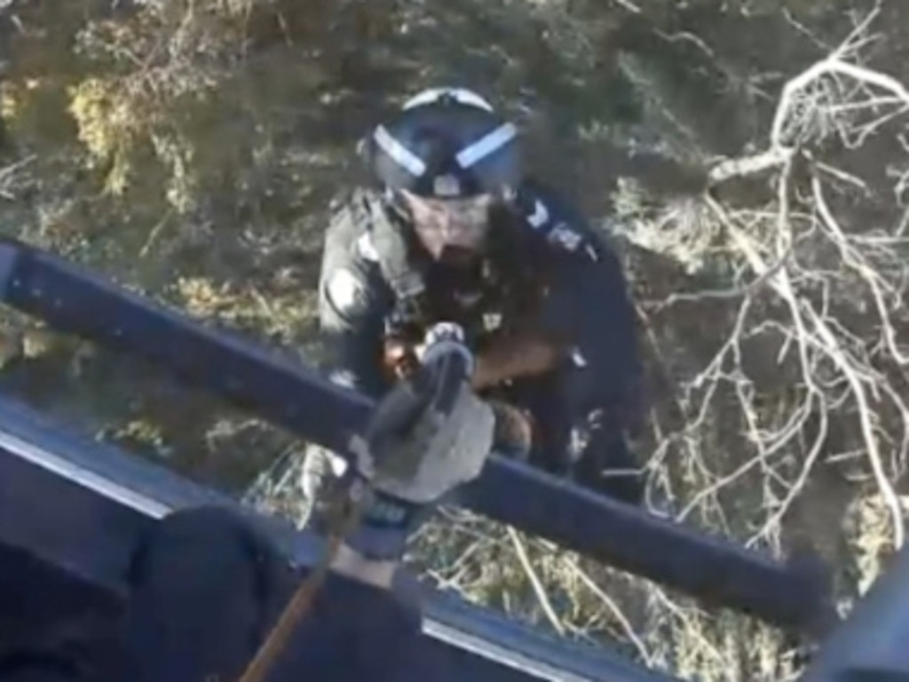 Extraordinary police chopper footage has captured the moment a paraglider stuck 10m high in a tree in the High Country was winched to safety. Picture: supplied