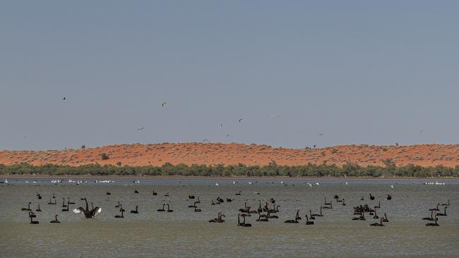 Rainwaters moving through western Queensland’s Channel Country. Picture: Kerry Trapnell / Pew Trusts