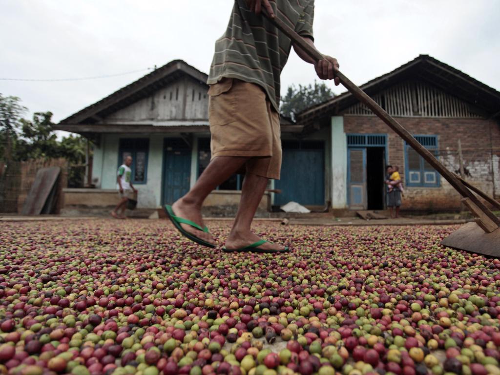 Brazilian growers are increasingly concerned about the yield of their crop over the next year. Picture: Dimas Ardian/Bloomberg