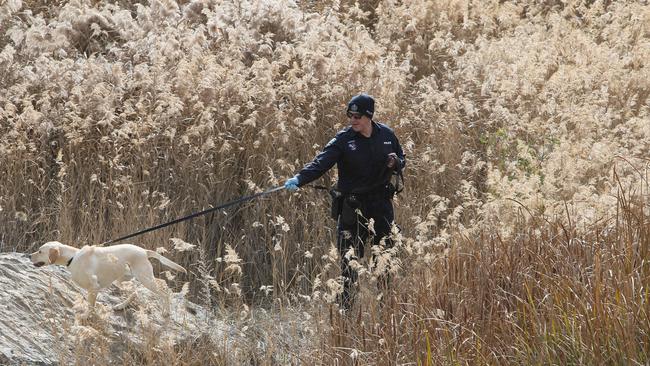 Police are also searching bushland for evidence. Picture NCA NewsWire / Emma Brasier.