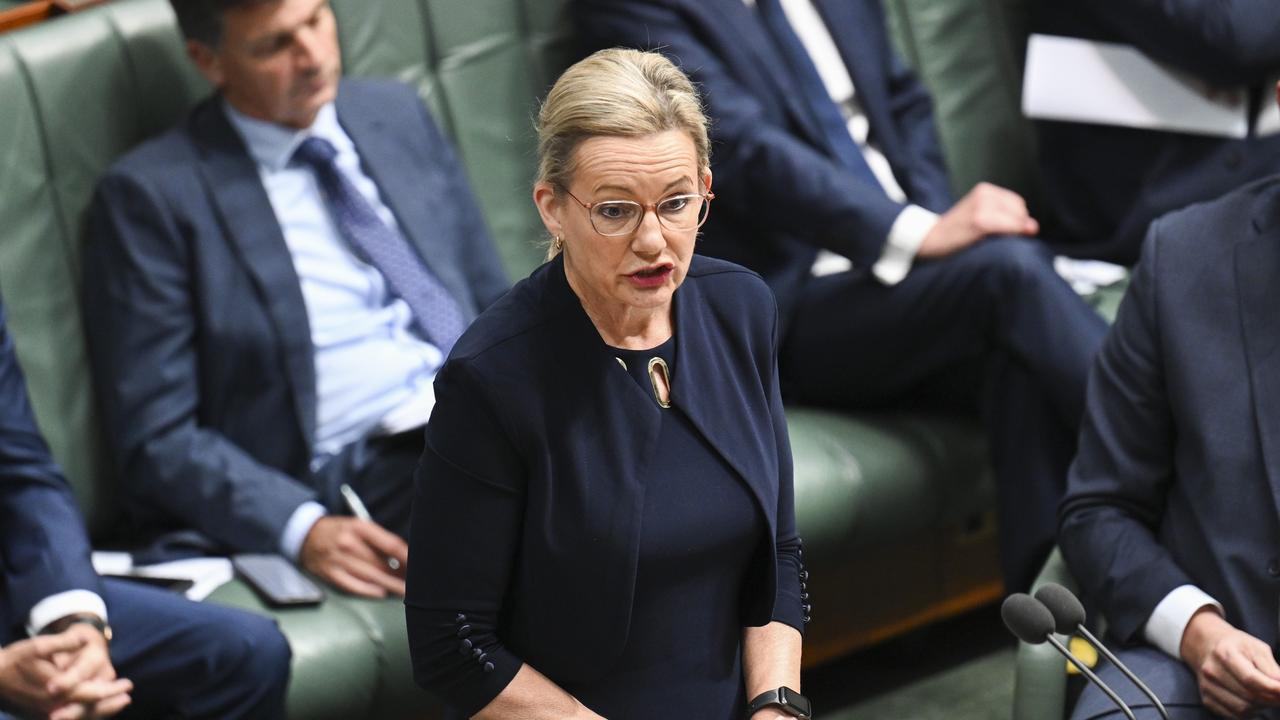 Deputy Liberal leader Sussan Ley has called for age verification on social media. Picture: NCA NewsWire/ Martin Ollman