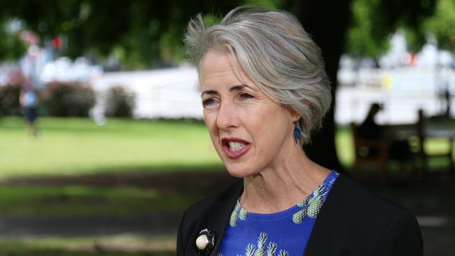 Greens MP Rosalie Woodruff describes the current situation as a ‘perfect storm’. Picture: David Killick