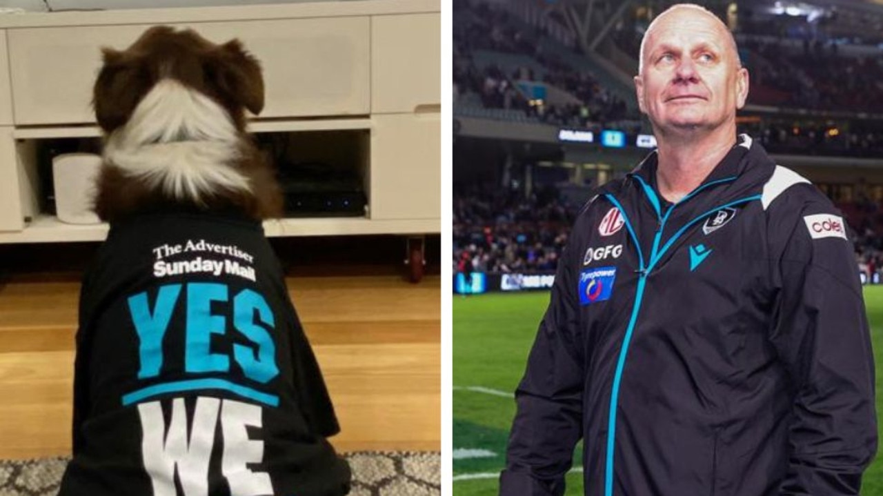 Paw-t Power: The ‘Yes We Ken’ dog that loves Hinkley