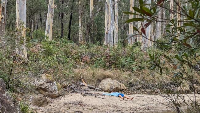 My unexpected Blue Mountains find recently put Bondi to shame... Image: supplied