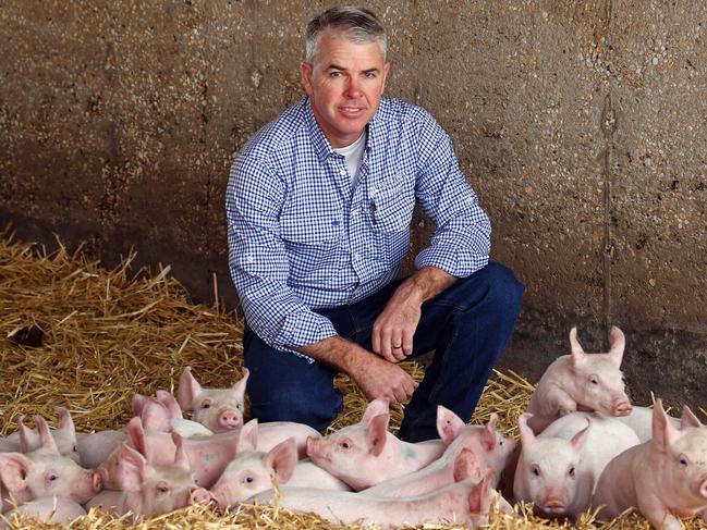 Farmers go ham over calls to cut meat from school lunches