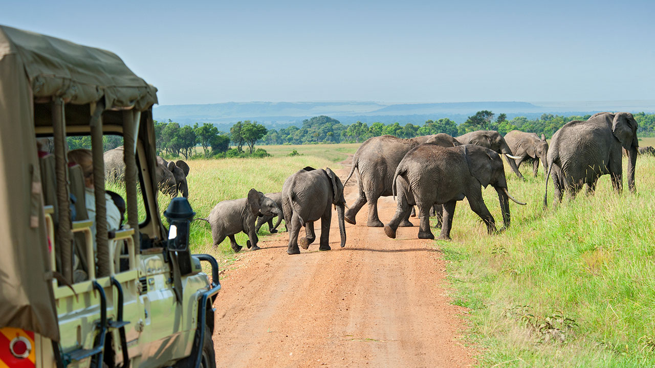 african safari trips best time of year