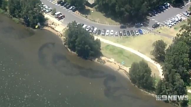 The location where the children were pulled from the water at Narrabeen Lagoon. Picture: 9 News