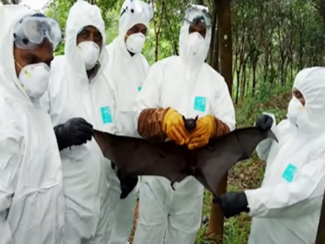 The Nipah virus is a major concern due to the high fatality rate.