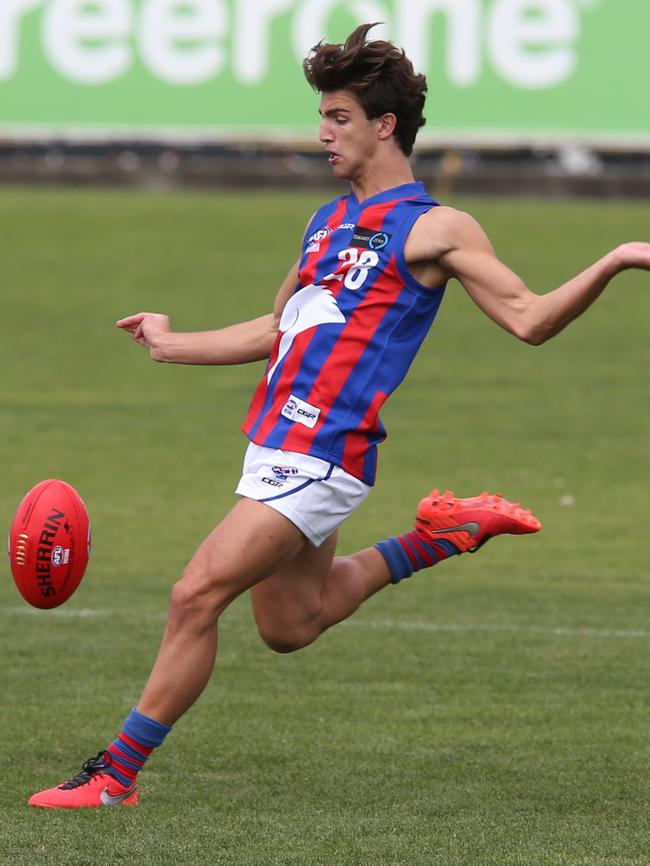 Josh Daicos in action for Oakleigh. Picture: David Crosling