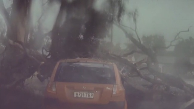 Lightning Strike Close Call As Tree Explodes Au — Australia 