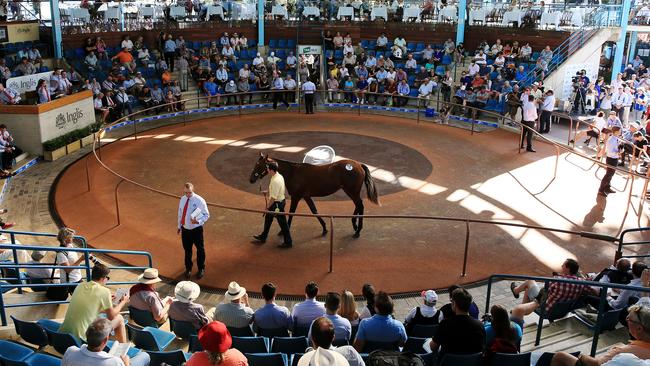 The William Inglis sales complex will shift its base to Warwick Farm in 2018. Picture: Toby Zerna