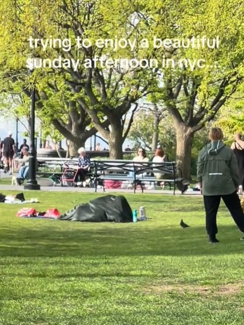 Footage of a couple appearing to have sex in busy park has left the internet horrified. Picture: TikTok/@girlsorwomen