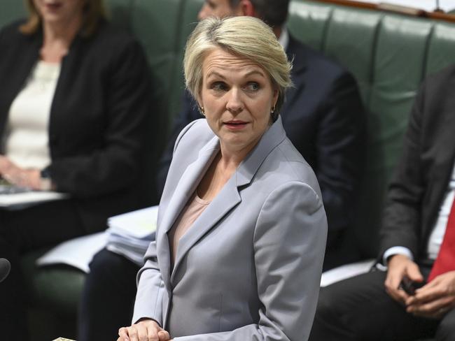 CANBERRA, Australia, NewsWire Photos. June 6, 2024: Minister for the Environment and Water Tanya Plibersek during Question Time at Parliament House in Canberra. Picture: NewsWire / Martin Ollman