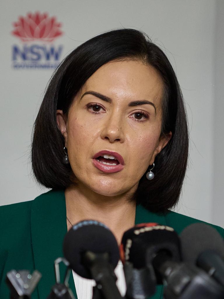 NSW Deputy Premier Prue Car has backed an investigation.