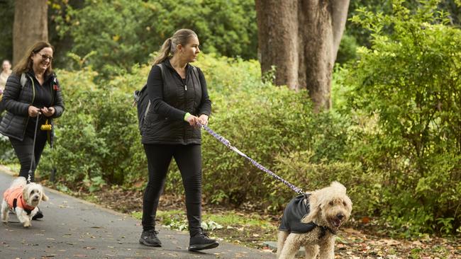 Million Paws Walk in the Adelaide Botanic Gardens, Sunday, May 28, 2023. Picture: Matt Loxton