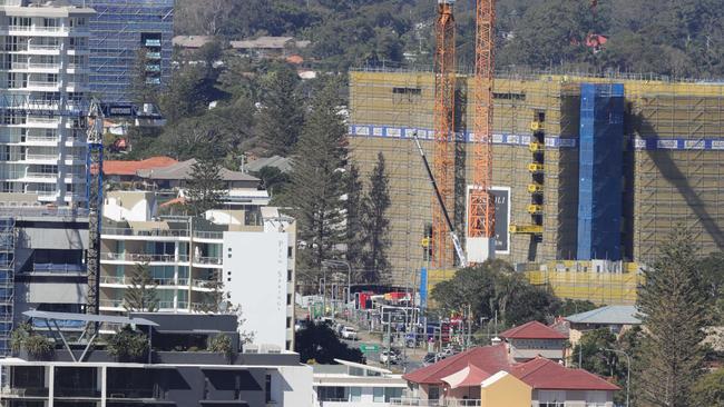 Cranes at Palm Beach. Picture: Glenn Hampson.