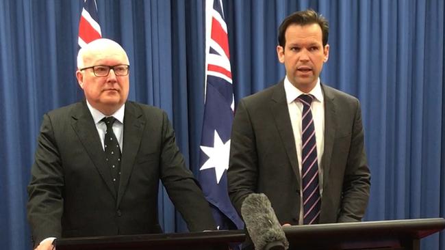 Mr Canavan has been forced to step down due to a quirk of the citizenship laws.