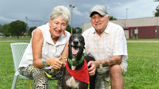 Margaret and Ron Shaw with Pickles, their 4yo adopted greyhound. Picture: Shae Beplate.