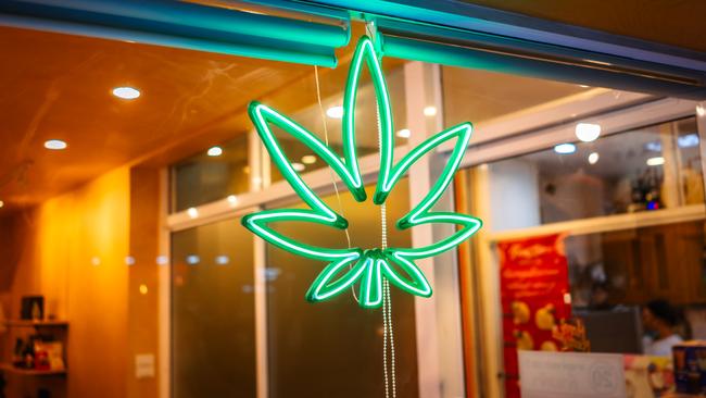 Cannabis is a multi-compound plant and is using in many different ways. Picture: Getty