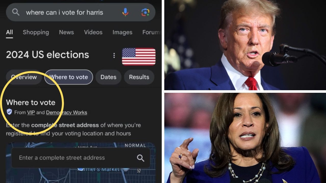 Google admits to blunder with Harris, Trump online searches