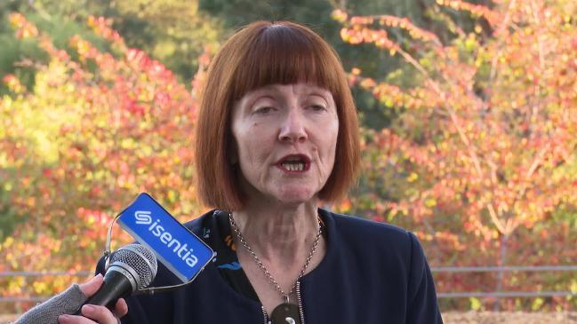 Greens call for $75 per week Newstart raise