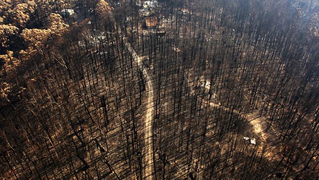 KINGLAKE, AUSTRALIA - FEBRUARY 12:  A dirt track runs through the burnt out forest in the Kinglake region on February 12, 2009 in Melbourne, Australia. Victoria Police have revised the bushfire disaster death toll to 181, the worst in Australia's history.  (Photo by Mark Dadswell/Getty Images)