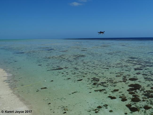 A drone capturing the poo excreted by sea cucumbers on the reef surrounding Heron Island. Picture: Karen Joyce